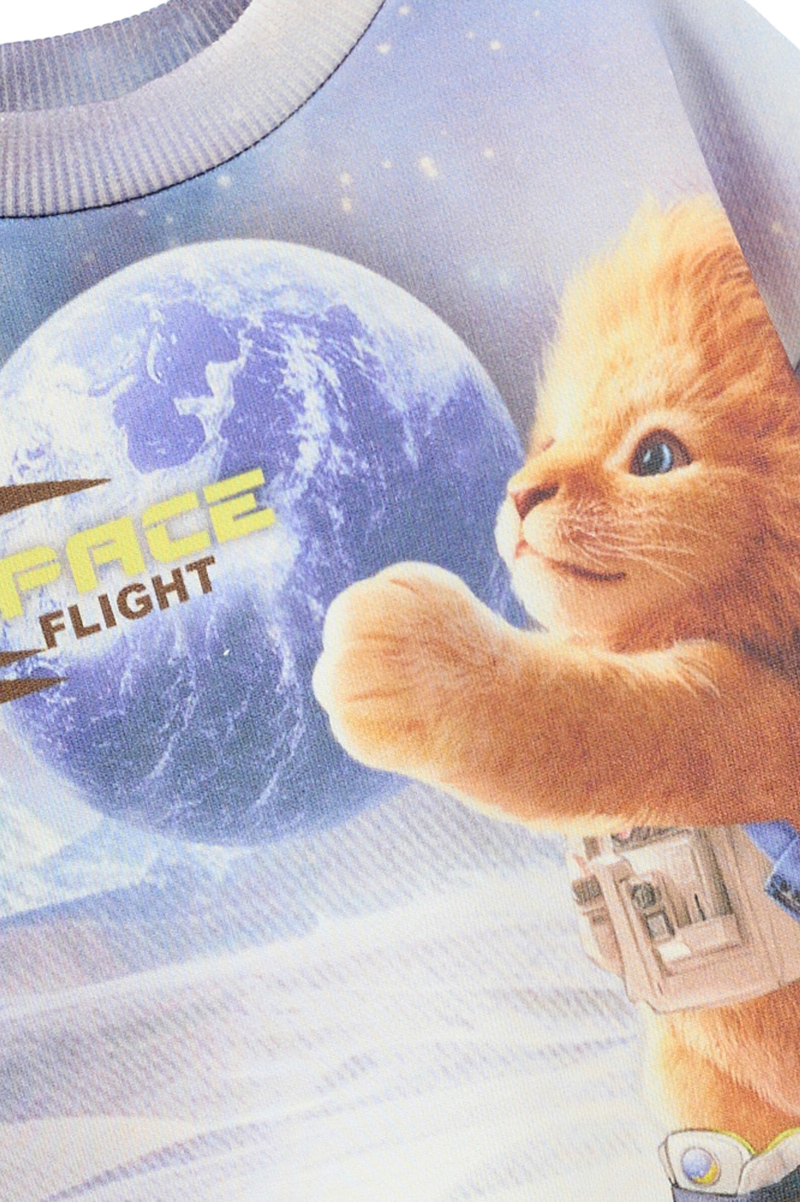 Свитшот мал. АРТ.252041,мол-гол,хл-пэ